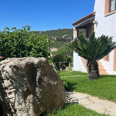 Villa Antonella Apartments Olbia Exteriér fotografie